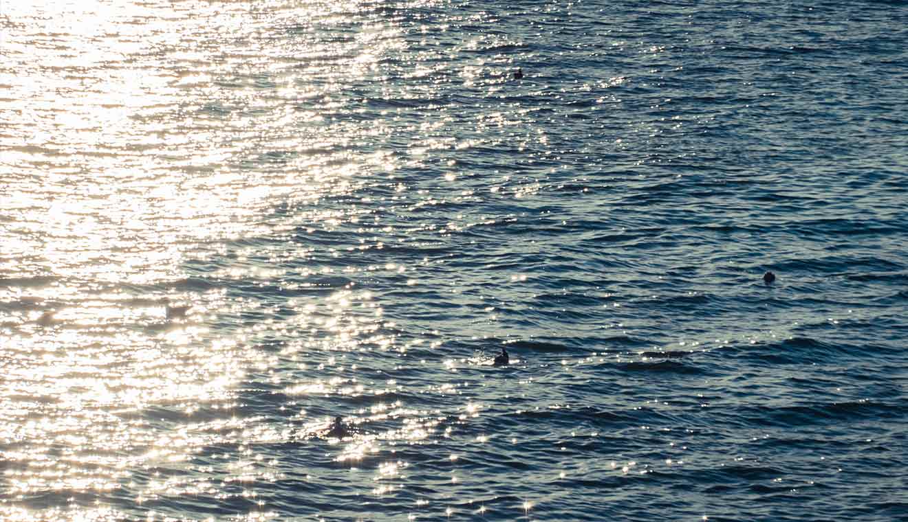 Sparkling sunlight reflecting across gently rippling blue water